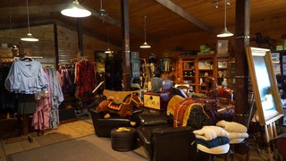 Noble Horse Gallery Social Story - Video-5