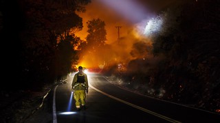 Who Started The Wildfire?