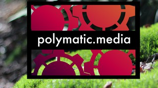 Polymaticast 38 – John’s “Goldblatter” got stolen by the doctors :D