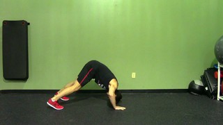 Decline Push Up - HASfit Push Up Exercise Demonstration - Decline Pushup ...
