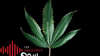 Special Episode 2: 4/20 Special Hosted by Colin Wysong