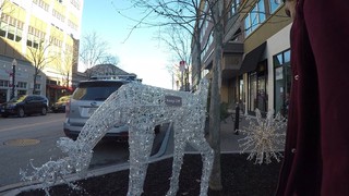 Keep Off The Reindeer