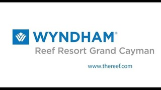 Wyndham Reef Resort Grand Cayman on TALK BUSINESS 360 TV