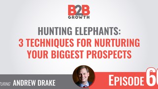 60: Hunting Elephants: 3 Techniques For Nurturing Your Biggest Prospects ...