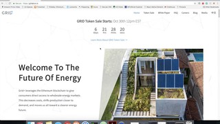 GRID Token Sale Tutorial