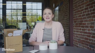 Unboxed: Earthy Desk Succulent from Lula's Garden