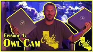 Owl Car Cam Review and Install