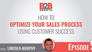 9: How to Optimize Your Sales Process Using Customer Success w/ Lincoln M...