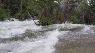 Flash Flood