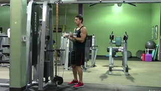 Low Cable Bar Curl - HASfit Biceps Exercise Demonstration - Cable Curl - ...