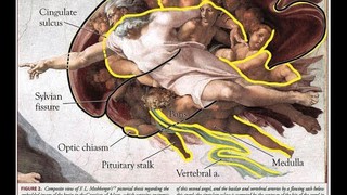 2015 Maps of Meaning Lecture 3: Narrative, Neuropsychology & Mythology I ...