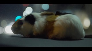 Hamsta  (Music Video)