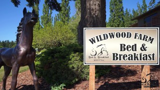 Wildwood farm bnb social story video1