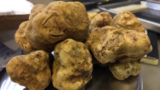 A trunk full of truffles (Update)