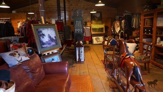 The Noble Horse Social Story 6