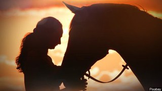 Horse Fetishes