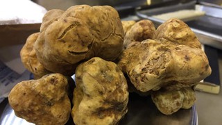 #733: A Trunk Full of Truffles