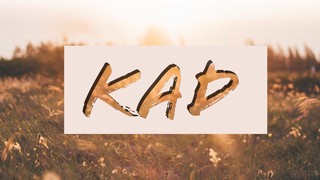 Kads Review