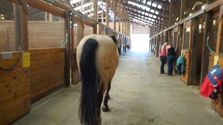 Wildwood farm bnb social story video 4