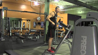 Triceps Dip - HASfit Dip Exercise - Triceps Exercises - Body Weight Exerc...