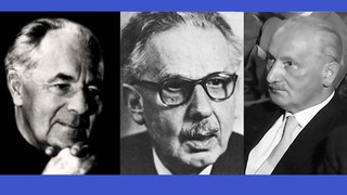 2017 Personality 12: Phenomenology: Heidegger, Binswanger, Boss