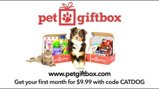 PetGiftBox on TALK BUSINESS 360 TV