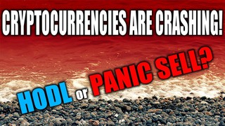 BITCOIN & ALT COIN Cryptocurrencies Are CRASHING So What Do You Do?