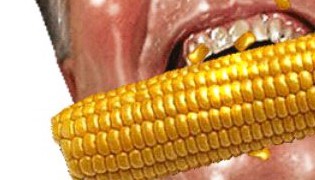 Sovereignty Of Seeds