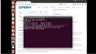 How to Verify the CheckSum of DashQT Wallet for Linux