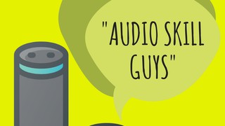 The Audio Skill Guys