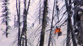 Chatter Creek Cat and Heliskiing