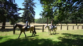 Wildwood farm bnb social story video10