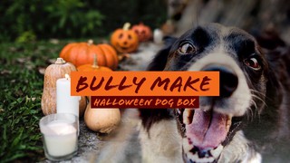 Bullymake: Halloween Dog Subscription Box (S2.E.22)