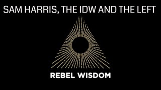 Discussion: Sam Harris, the IDW and the left