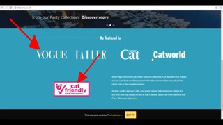 Amazon FBA Private Label Growth Hack - Social Proof Case Study
