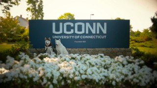 UCONN IN FULL BLOOM 🌼🌷☀️
