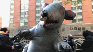 How The Rat Blew Up