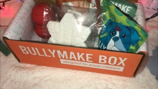 The December Bully Make Dog Box + Giveaway - Day 14