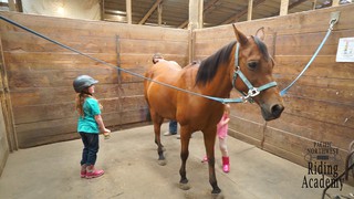Wildwood farm social story video 9