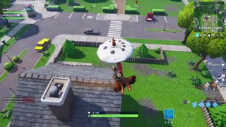 Fortnite VICTORY ROYALE with viewer